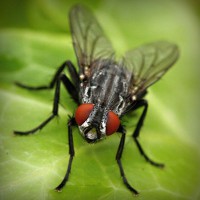 /album/lig-tv-burada/photolia-a01-jpg/