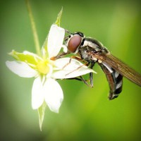 /album/lig-tv-burada/photolia-a02-jpg/