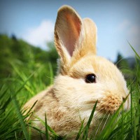 /album/lig-tv-burada/photolia-a03-jpg/