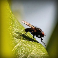 /album/lig-tv-burada/photolia-a04-jpg/