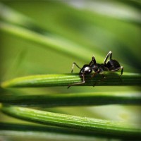 /album/lig-tv-burada/photolia-a05-jpg/