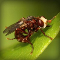 /album/lig-tv-burada/photolia-a06-jpg/