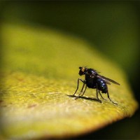 /album/lig-tv-burada/photolia-a07-jpg/