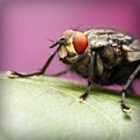 /album/lig-tv-burada/photolia-a08-jpg/